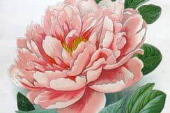19th August 2022. Step Botanical Prints