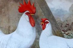 19th November 2025. Ludlow & Wright Poultry Prints