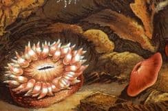 1st March 2026. Kingsley Sea Life