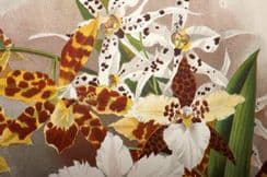 1st November 2022. Wright Flower Growers Guide