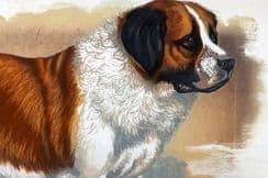 1st November 2023. Hugh Dalziel Dog Prints