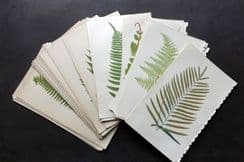 20th January 2025. Special Offer Wholesale Lots