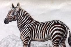 20th May 2024. Jardine Horse Prints