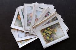 22nd May 2026. Special Offer Wholesale Lots