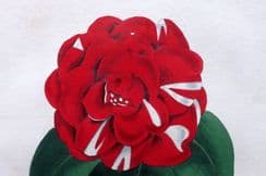 22nd October 2022. Paxton Botanical Prints