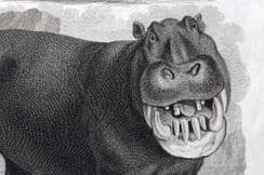 23rd April 2025. Rees Natural History