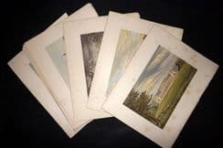 23rd December 2024. Special Offer Wholesale Lots