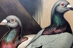 23rd May 2023. Fulton Pigeon Prints