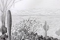 23rd September 2023. Emory USA & Mexico Views