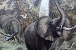 24th April 2023. Hoffmann Buch der Welt Animal Prints