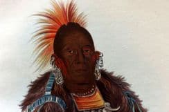 24th January 2026. Prichard Natural History of Man
