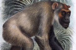 24th May 2022. PZS Natural History