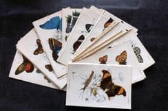 25th August 2025. Special Offer Wholesale Lots