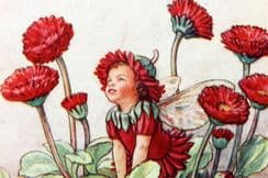 25th January 2022. Barker Flower Fairies