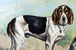 25th March 2023. Mahler Dog Prints