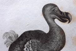 25th March 2024. Shaw Birds