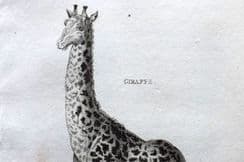 25th March 2024. Shaw Natural History