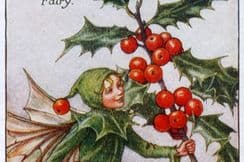 25th November 2024. Cilcey Mary Barker Flower Fairies