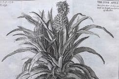 26th April 2022. Pluche Botanical & Gardens