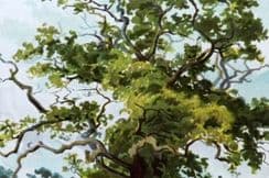 26th March 2022. Boulger Tree Prints