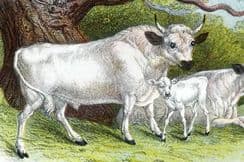 26th March 2022. Lloyds British Mammals