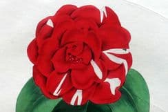 26th November 2025. Paxton Botanical Prints