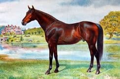 27th June 2022. Prince-Sheldon Horses & Livestock