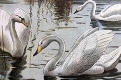 27th March 2023. Mahler Bird Prints