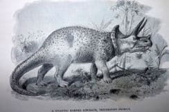 27th May 2022. Hutchinson Extinct Monsters & Dinosaurs