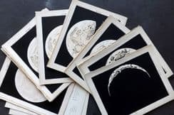 28th January 2025. Special Offer Wholesale Lots