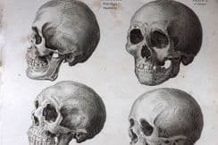 29th April 2024. Rees Science Prints