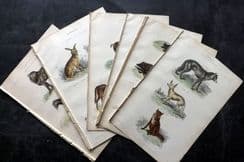 29th October 2024. Special Offer Wholesale Lots