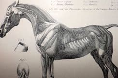 2nd January 2023. National Encyclopedia Prints