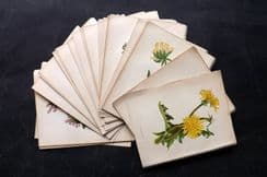 30th August 2024. Wholesale Bulk Lots