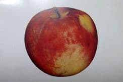 30th December 2023. Beach - Apples of New York