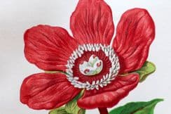 30th July 2024. Anne Pratt Botanicals