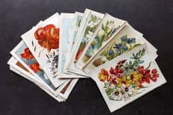 30th June 2025. Special Offer Wholesale Lots