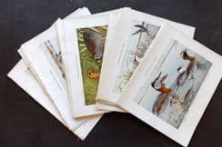 30th March 2025. Special Offer Wholesale Lots