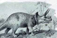 3rd November 2022. Hutchinson Extinct Monsters