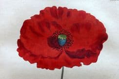 4th November 2022. Fitton Botanical Prints