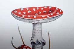 5th February 2022. Ministry of Agriculture Mushroom Prints