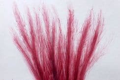 5th July 2024. Harvey Seaweed Prints