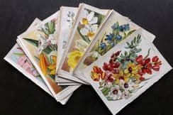 6th March 2026. Special Offer Wholesale Lots