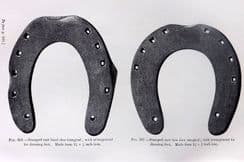 7th June 2022. Dollar Horse Shoe Prints