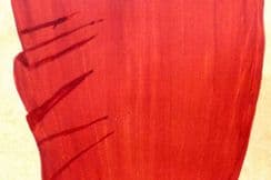 7th September 2025. Seaweed - Original Pen, Ink & Watercolours