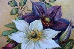 8th December 2022. Wright Flower Growers Guide