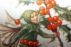 8th February 2025. Cicely Mary Barker Flower Fairies
