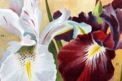 8th February 2026. Weathers Botanical Prints