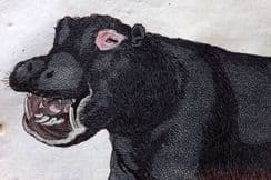 8th June 2024. Brightly Natural History Prints