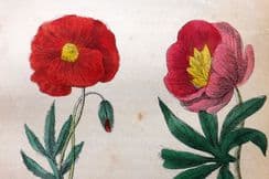 8th September 2025. Richard Brook Botanical Prints